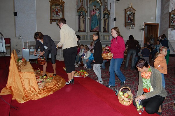 plody našich záhrad, ktoré priniesli naši žiaci a učitelia